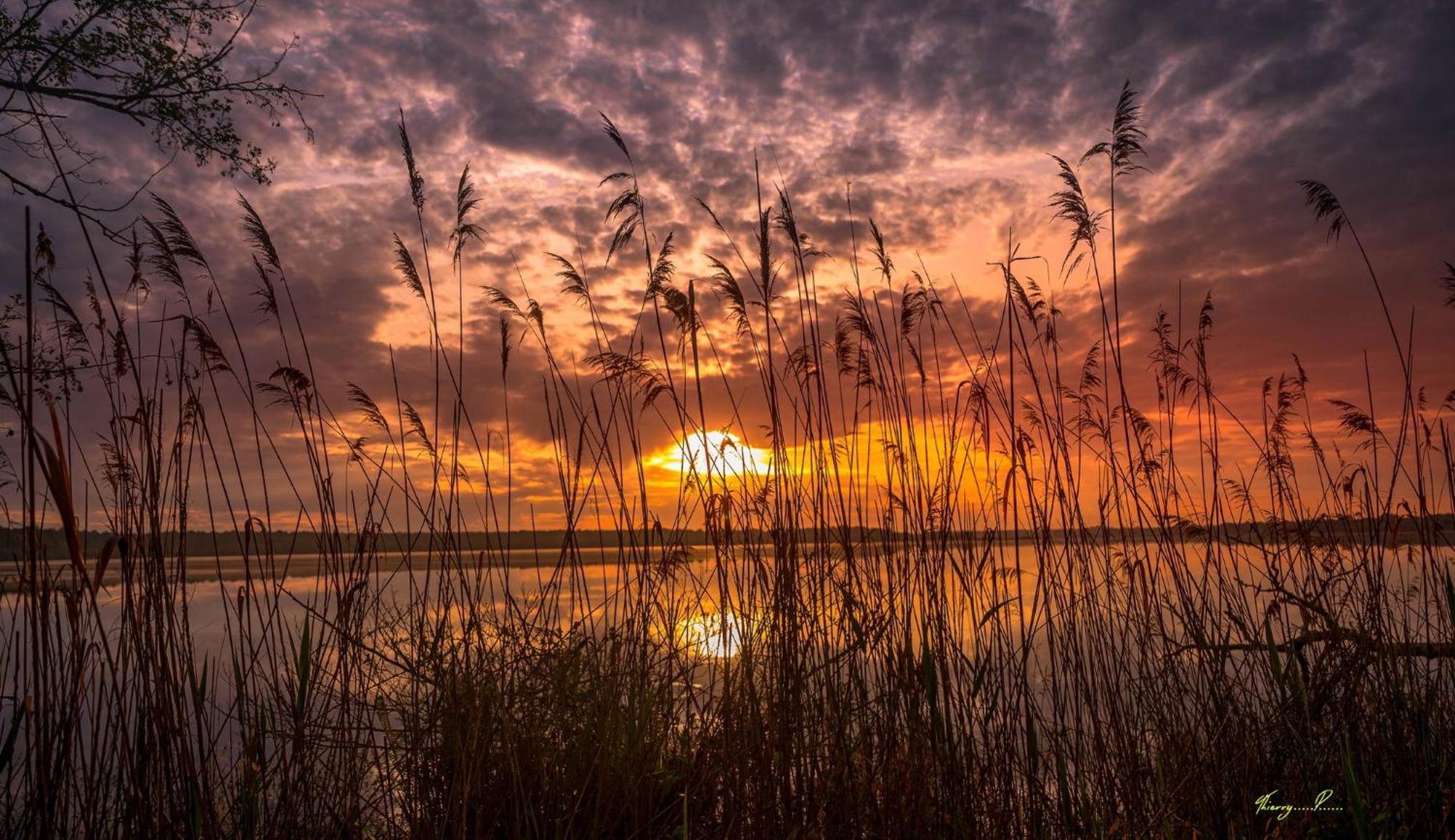 Vk Lake Aureilhan  Dış mekan fotoğraf